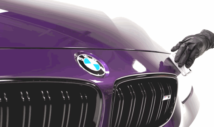 Technician wearing black gloves applying ceramic coating to the hood of a purple BMW to create a deep high gloss shine. The BMW badge is visible on the front.